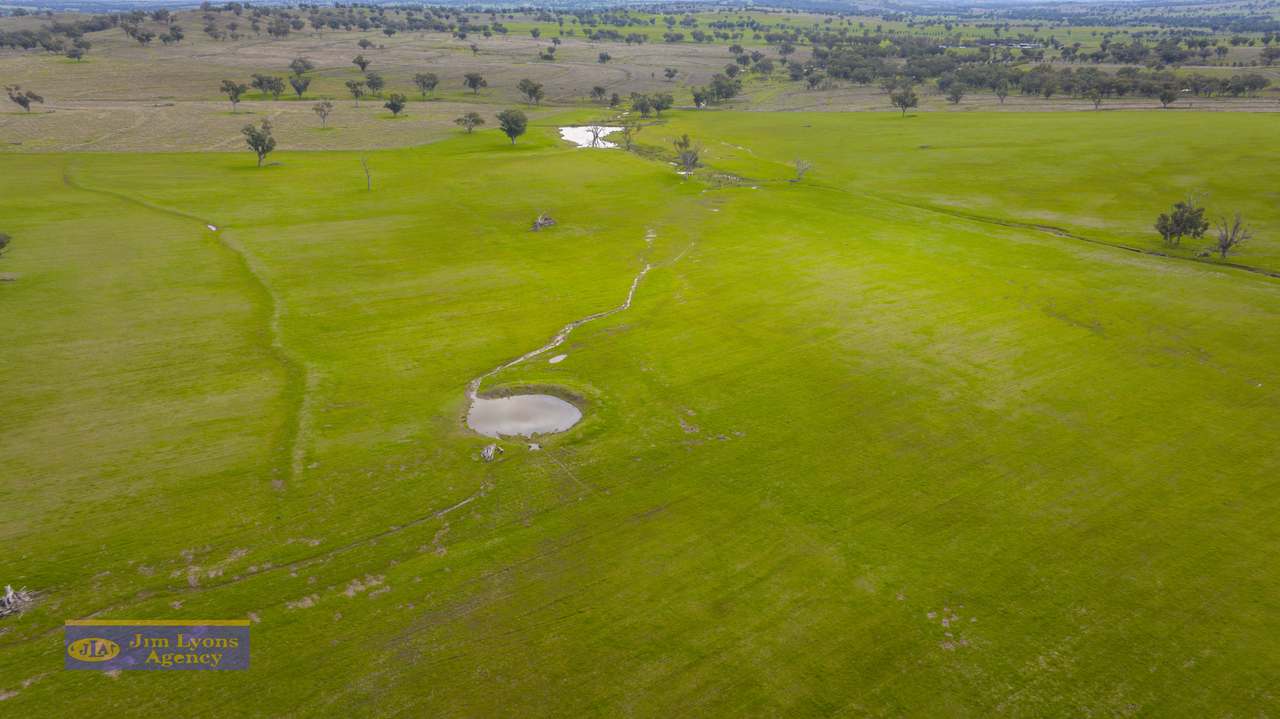 1098 Middlebrook Rd, Tamworth For Sale by Farmbuy.com - image 7