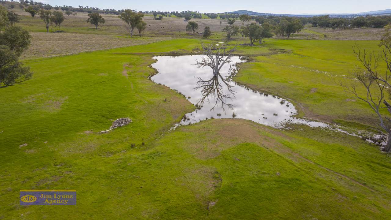 1098 Middlebrook Rd, Tamworth For Sale by Farmbuy.com - image 8