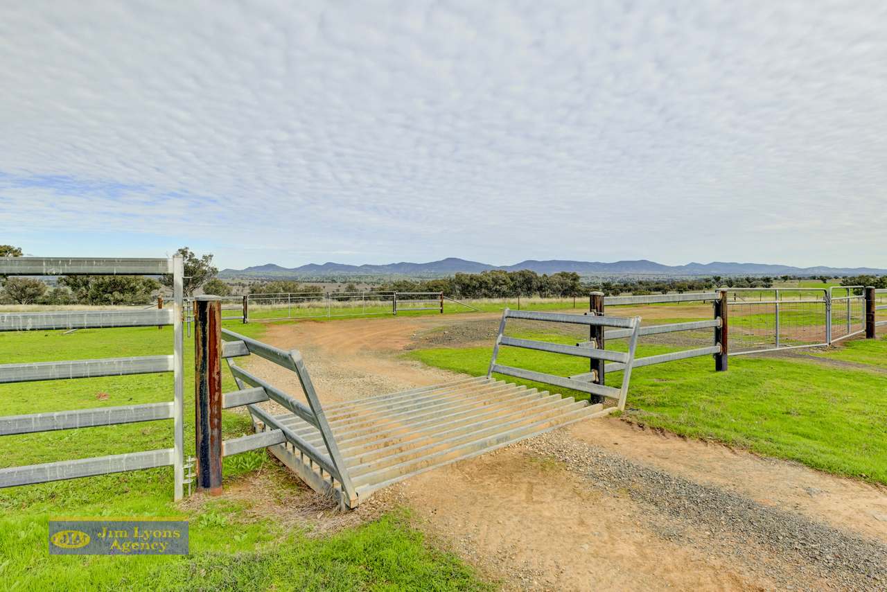 1098 Middlebrook Rd, Tamworth For Sale by Farmbuy.com - image 13