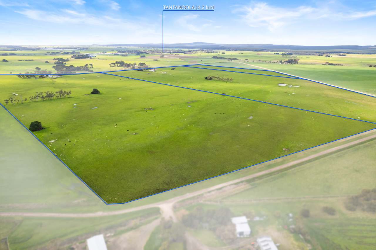 111 Burchard Road, Tantanoola For Sale by Farmbuy.com - image 22