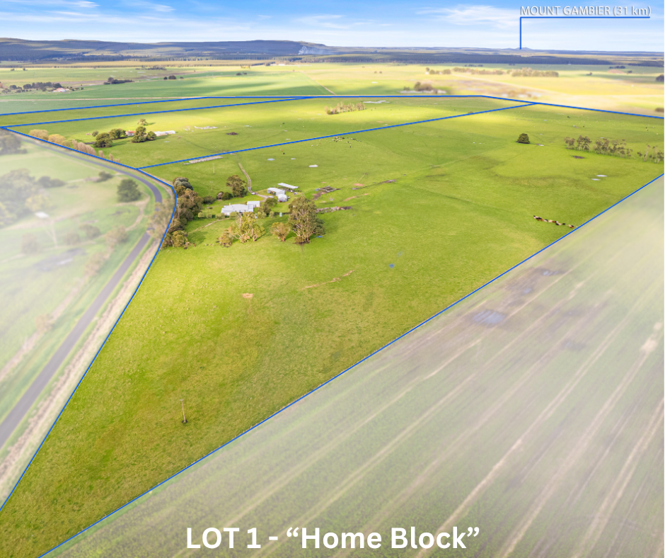 111 Burchard Road, Tantanoola For Sale by Farmbuy.com - image 19