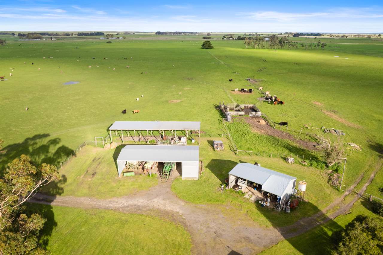 111 Burchard Road, Tantanoola For Sale by Farmbuy.com - image 3