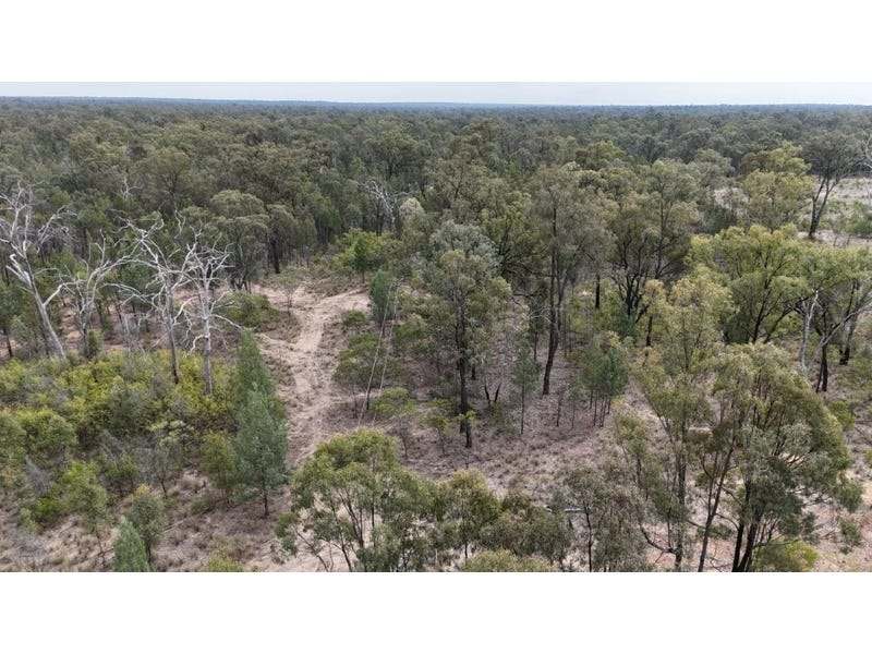 576 South Road, TARA For Sale by Farmbuy.com - image 15