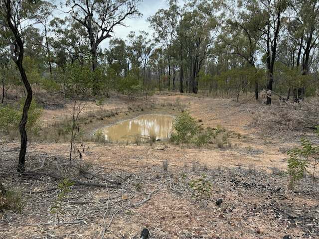576 South Road, TARA For Sale by Farmbuy.com - image 6