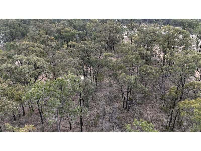 576 South Road, TARA For Sale by Farmbuy.com - image 12