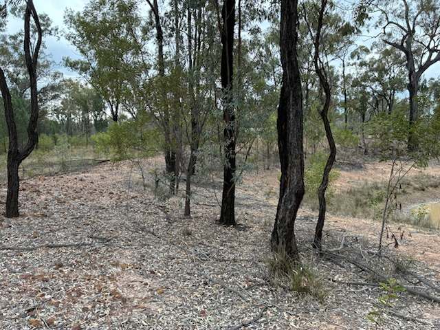 576 South Road, TARA For Sale by Farmbuy.com - image 8