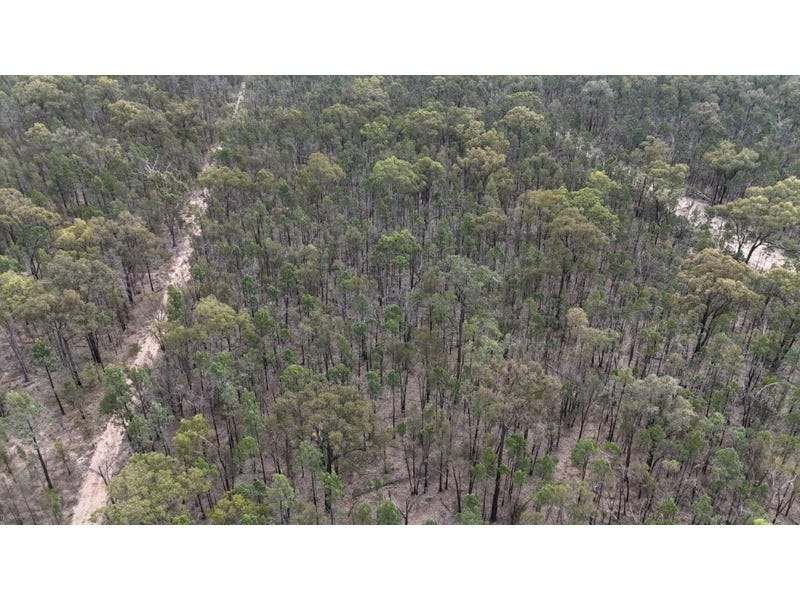 576 South Road, TARA For Sale by Farmbuy.com - image 17