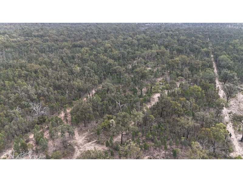 576 South Road, TARA For Sale by Farmbuy.com - image 13