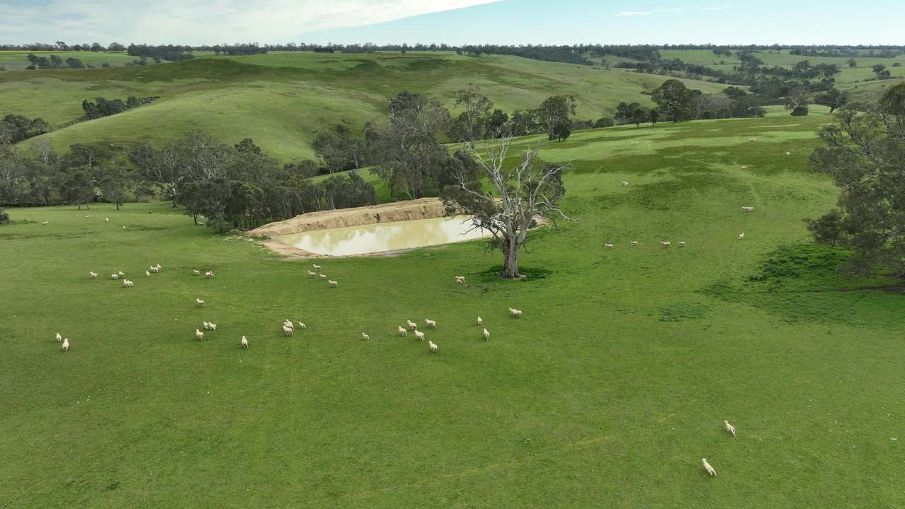 82 Jardines Road, Balmoral For Sale by Farmbuy.com - image 22