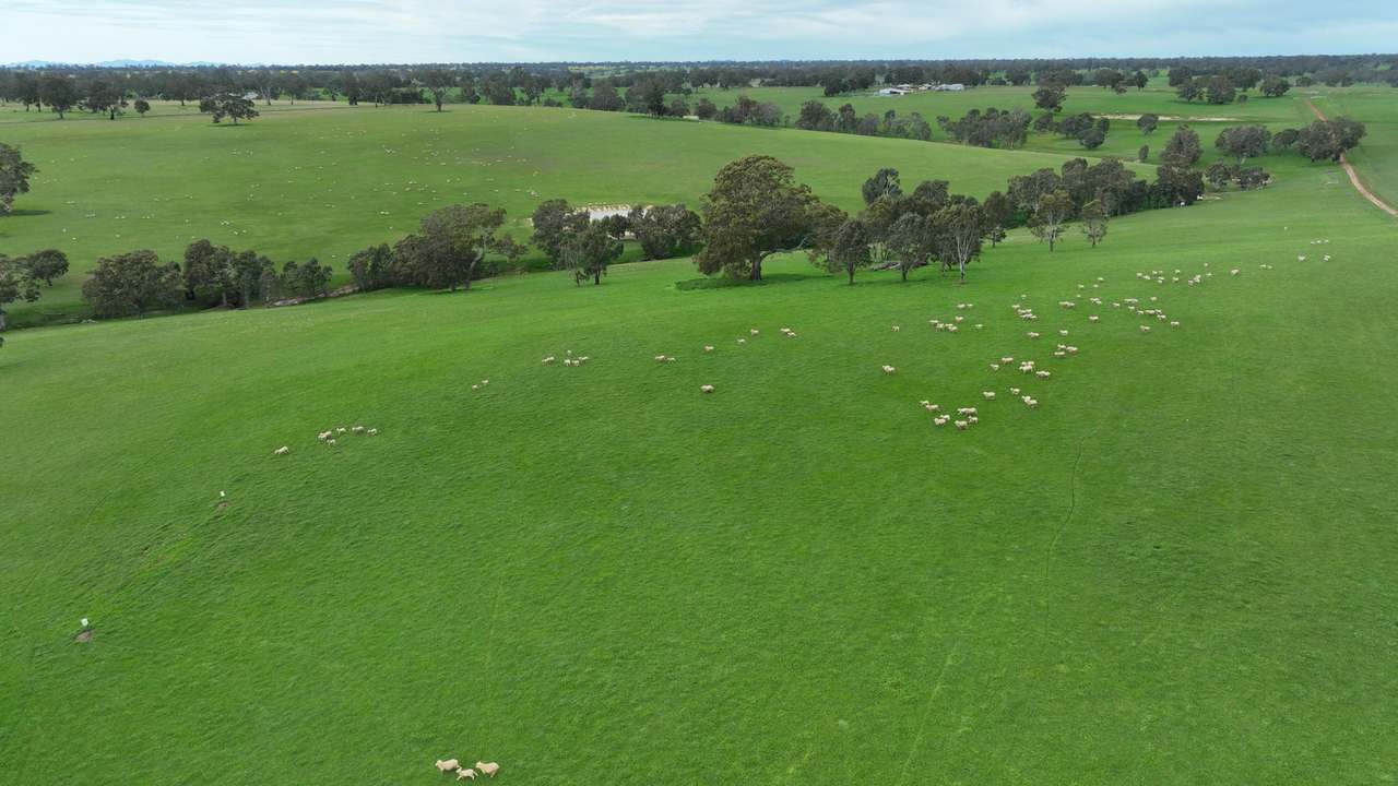 82 Jardines Road, Balmoral For Sale by Farmbuy.com - image 25
