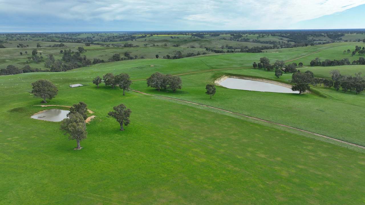 82 Jardines Road, Balmoral For Sale by Farmbuy.com - image 17