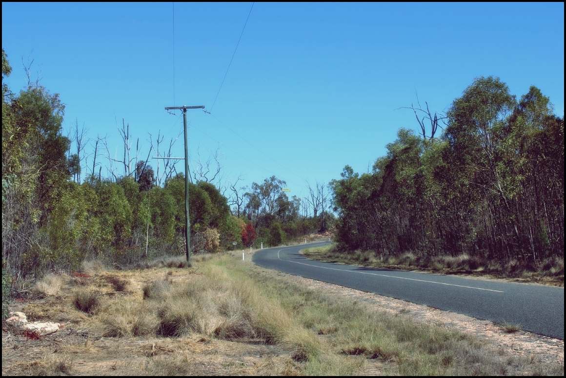 Lot 8 Basil Drive , Forest Ridge For Sale by Farmbuy.com - image 12