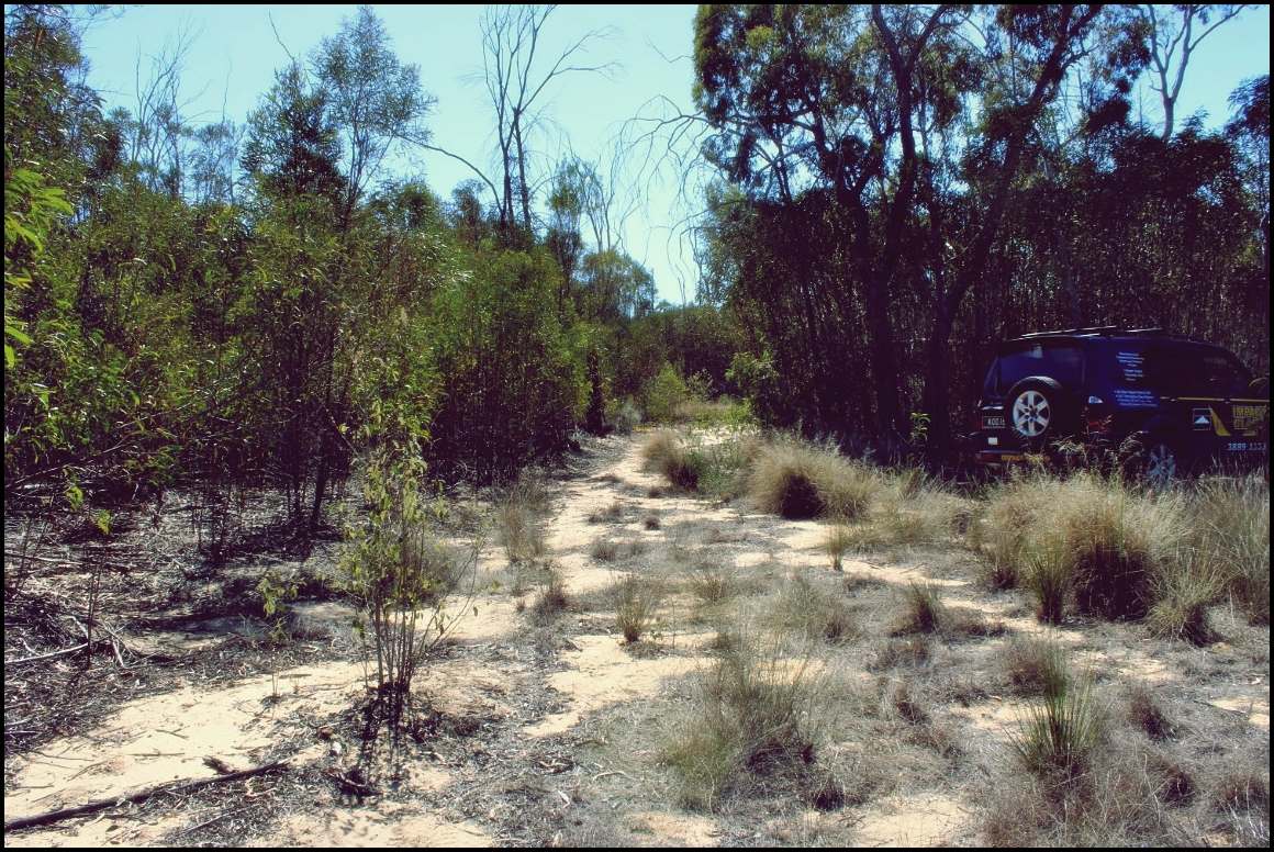 Lot 8 Basil Drive , Forest Ridge For Sale by Farmbuy.com - image 8