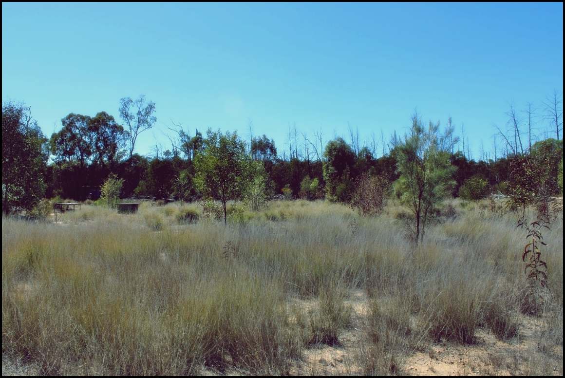 Lot 8 Basil Drive , Forest Ridge For Sale by Farmbuy.com - image 15