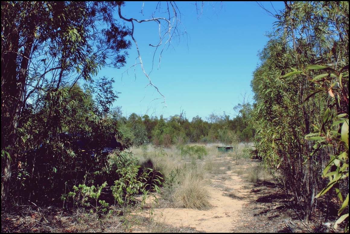 Lot 8 Basil Drive , Forest Ridge For Sale by Farmbuy.com - image 4