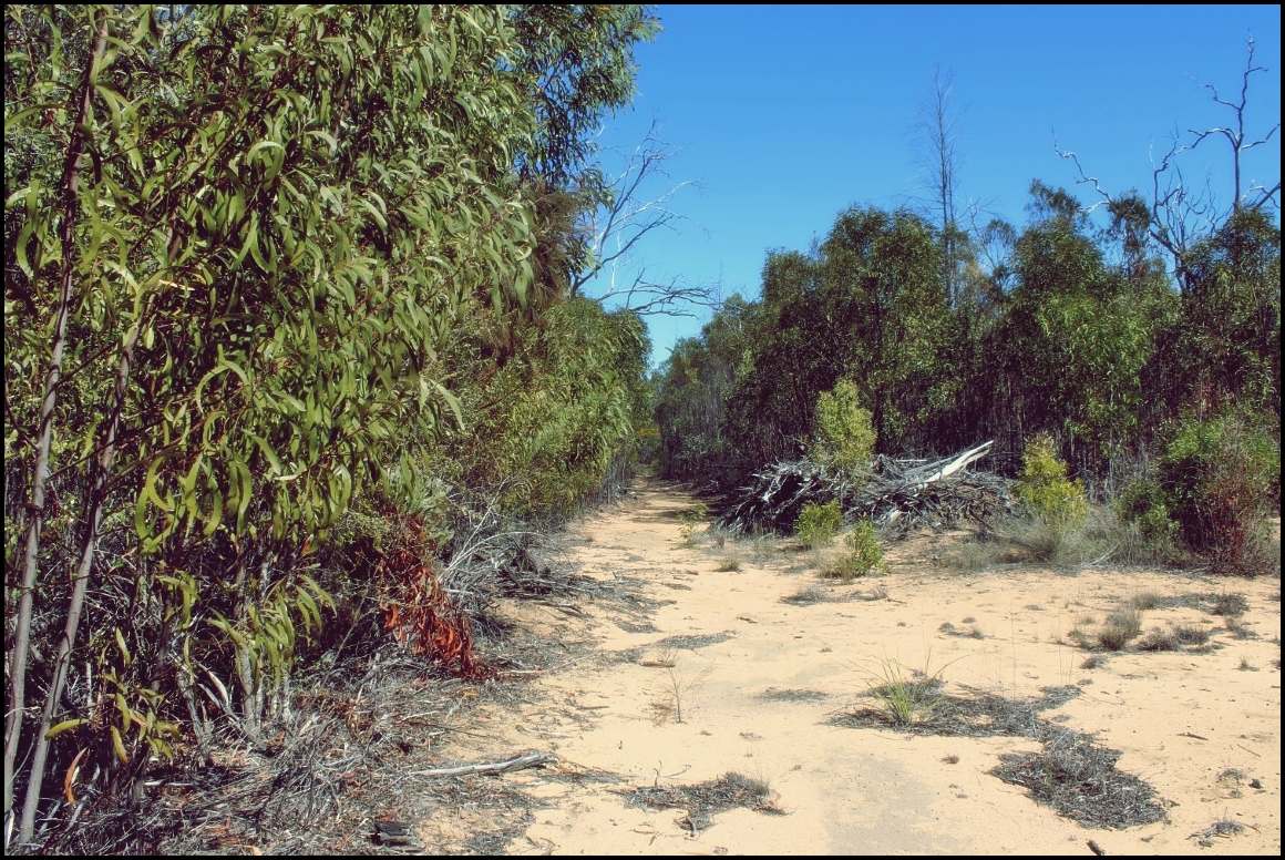 Lot 8 Basil Drive , Forest Ridge For Sale by Farmbuy.com - image 21