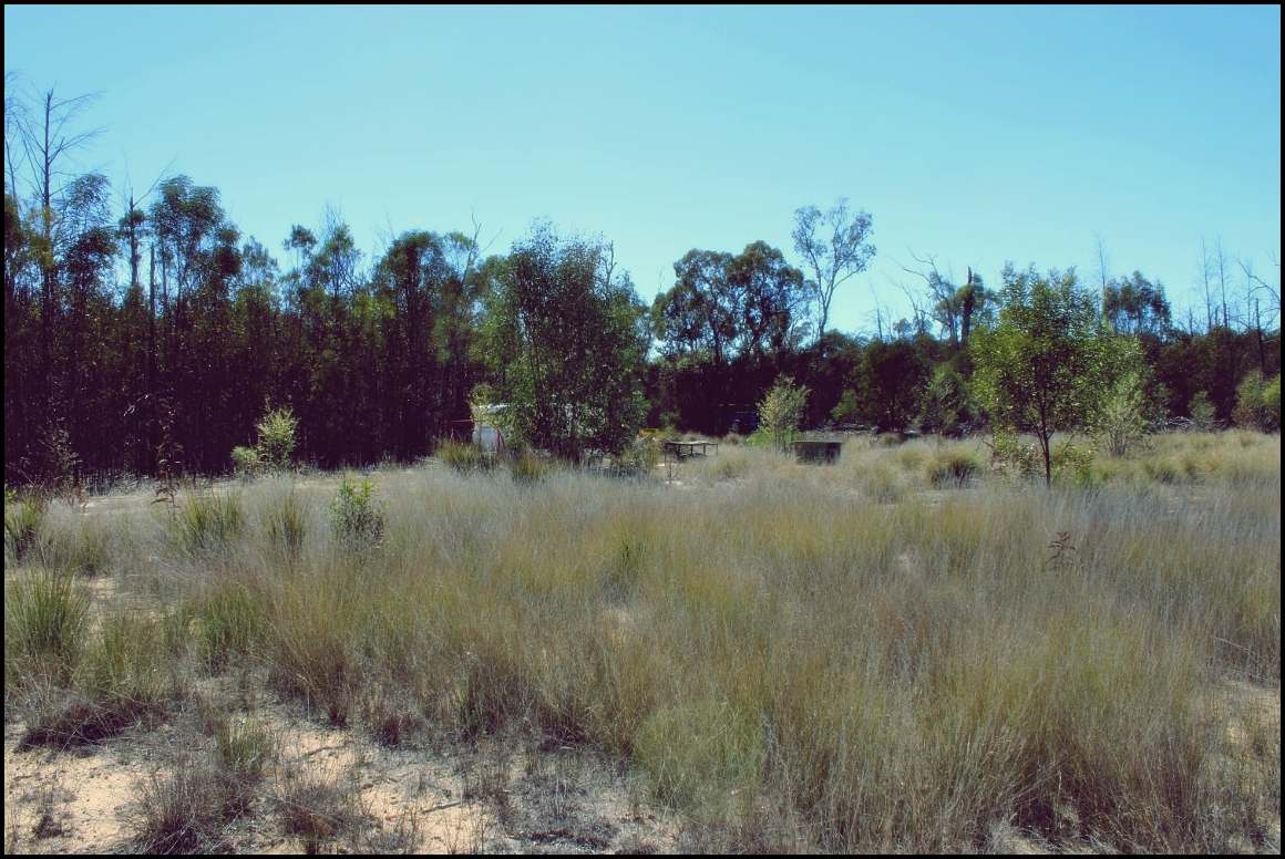 Lot 8 Basil Drive , Forest Ridge For Sale by Farmbuy.com - image 5