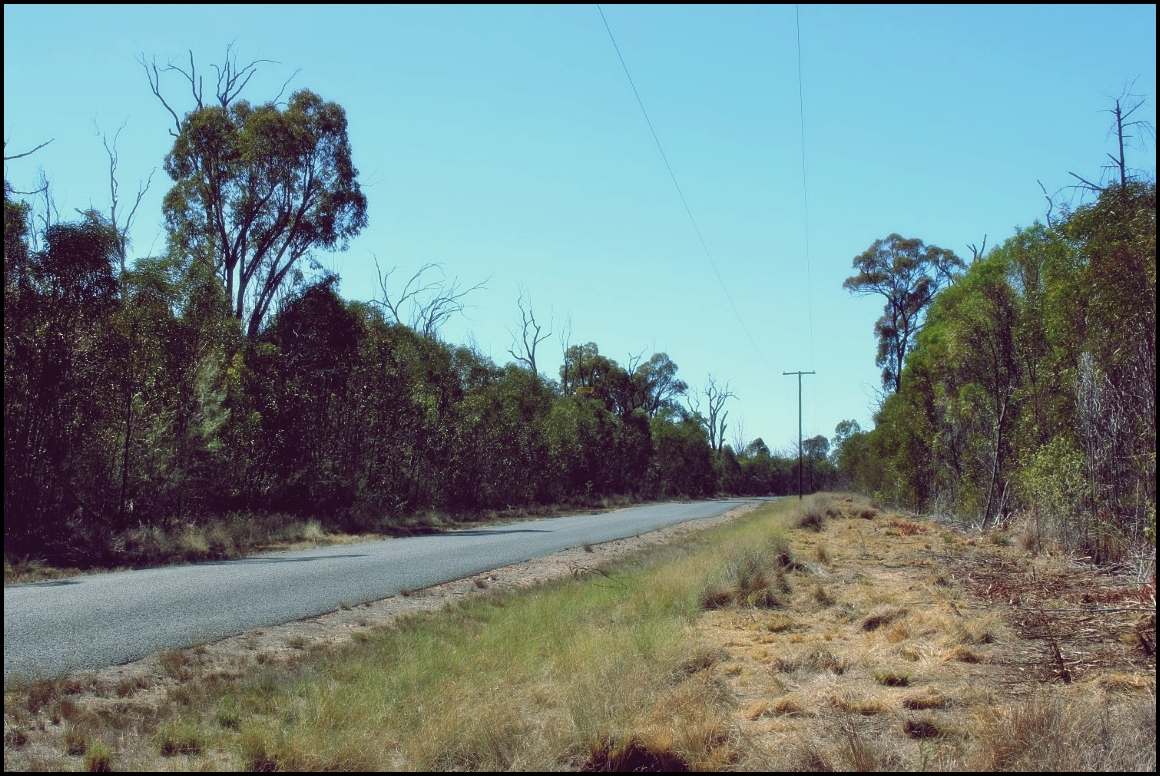 Lot 8 Basil Drive , Forest Ridge For Sale by Farmbuy.com - image 13