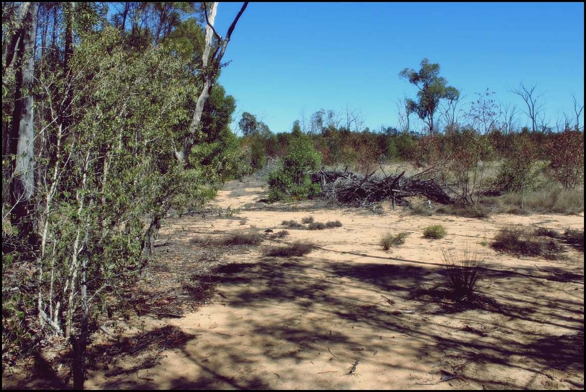 Lot 8 Basil Drive , Forest Ridge For Sale by Farmbuy.com - image 19