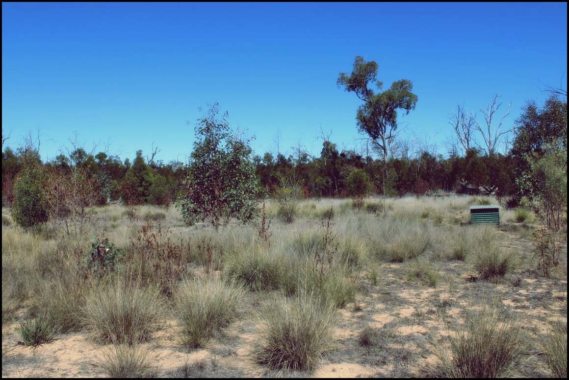 Lot 8 Basil Drive , Forest Ridge For Sale by Farmbuy.com - image 24