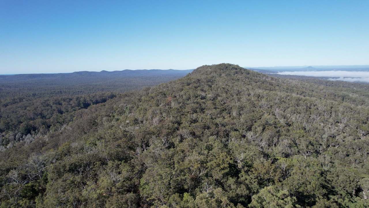 627 Tucabia-Tyndale Road , Tucabia For Sale by Farmbuy.com - image 2
