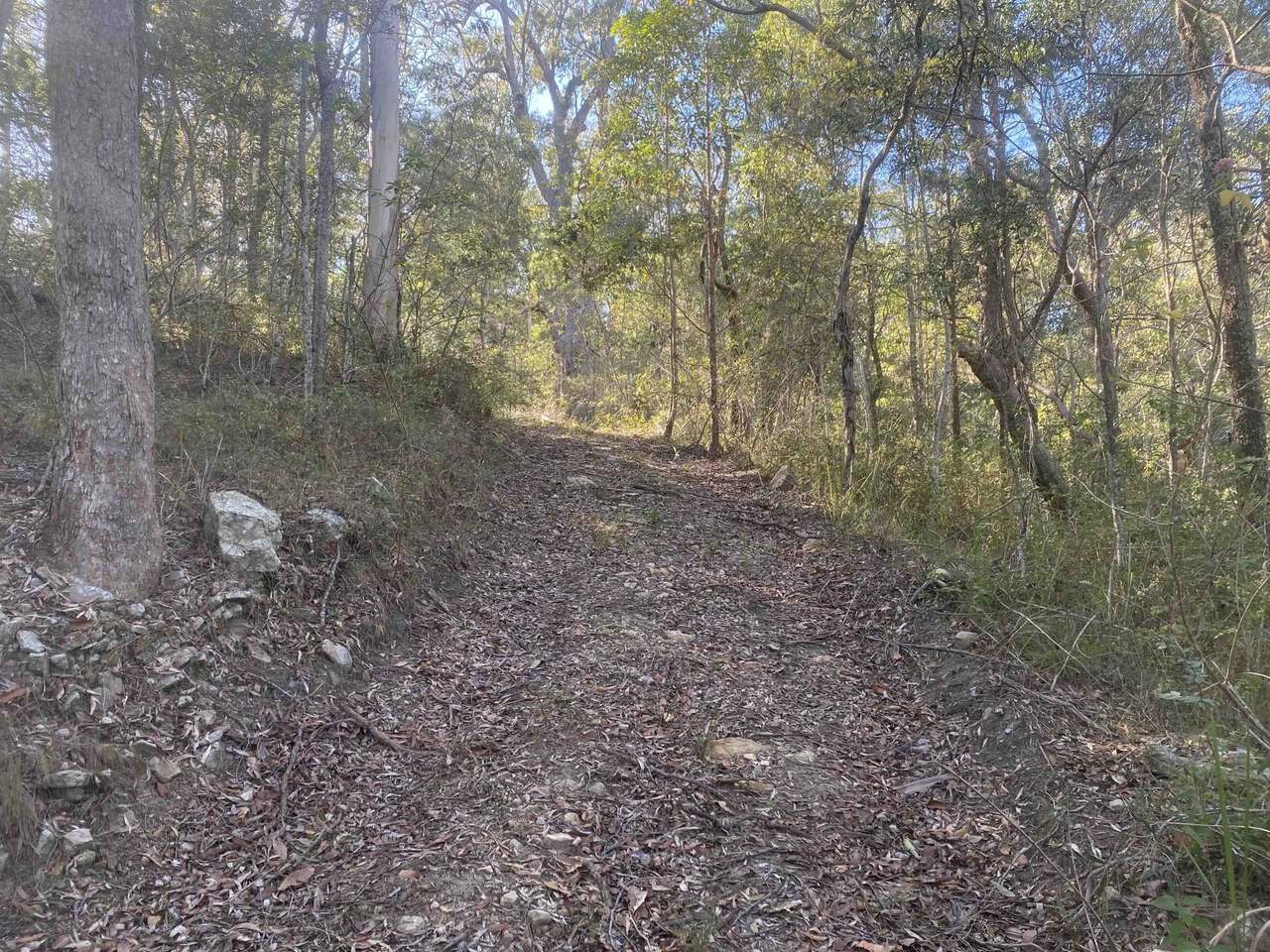 627 Tucabia-Tyndale Road , Tucabia For Sale by Farmbuy.com - image 3
