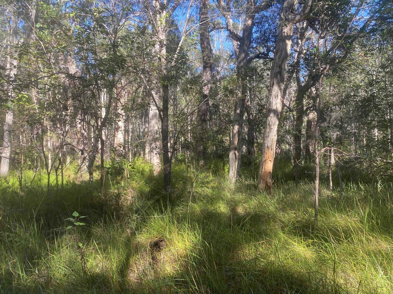 627 Tucabia-Tyndale Road , Tucabia For Sale by Farmbuy.com - image 4