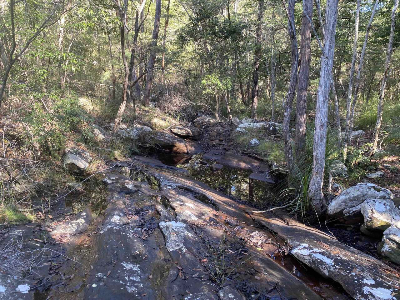 627 Tucabia-Tyndale Road , Tucabia For Sale by Farmbuy.com - image 8