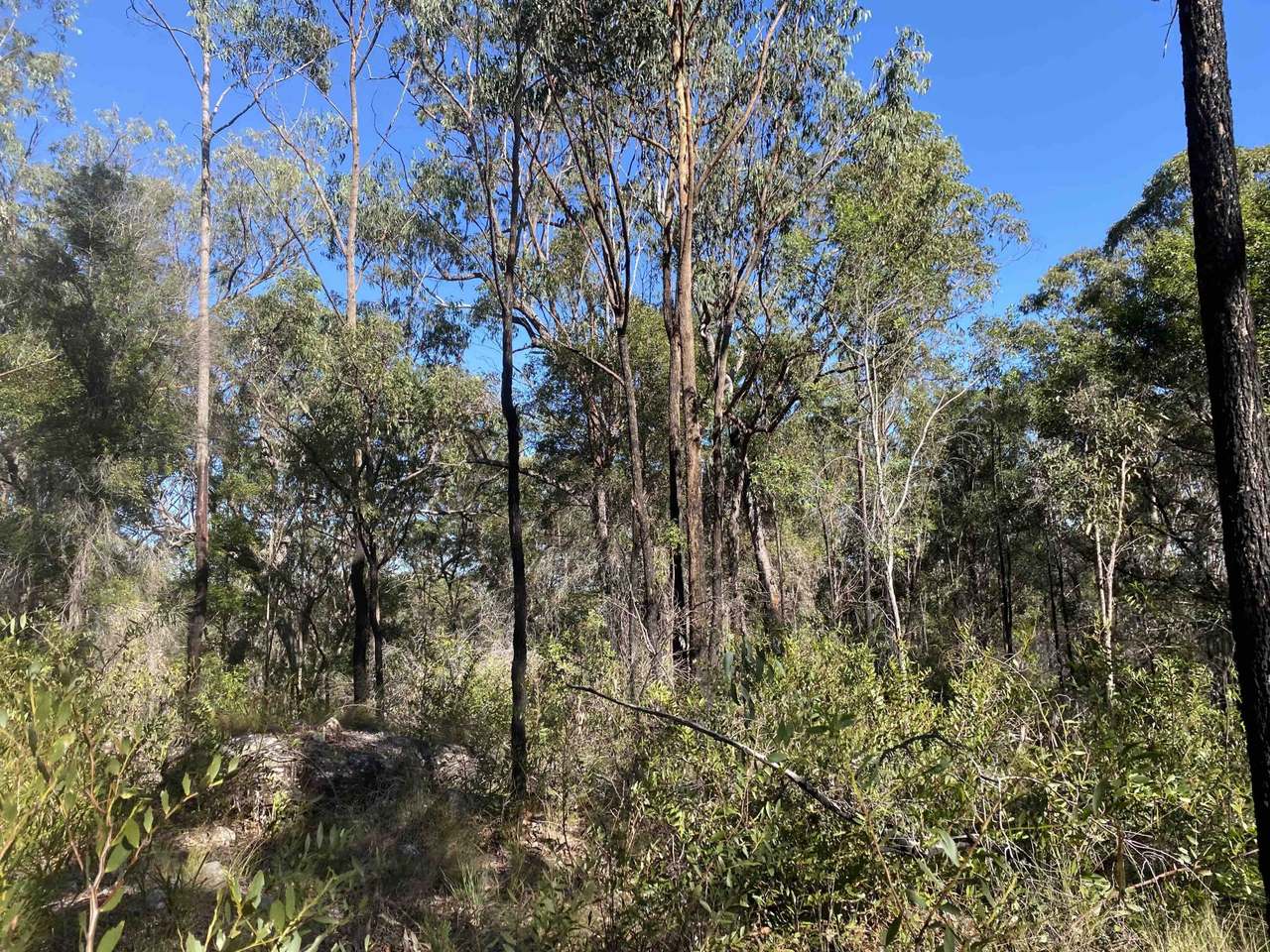 627 Tucabia-Tyndale Road , Tucabia For Sale by Farmbuy.com - image 9