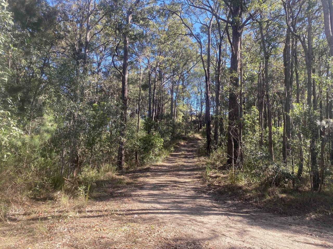 627 Tucabia-Tyndale Road , Tucabia For Sale by Farmbuy.com - image 6