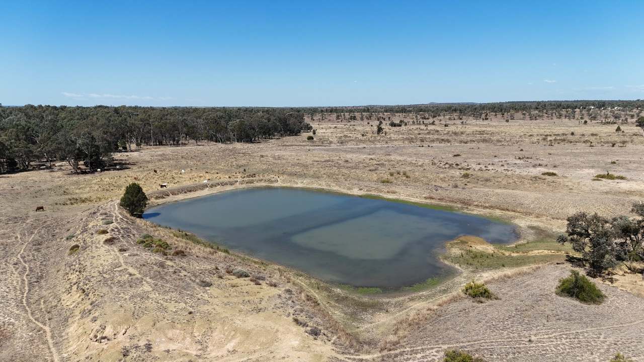 “Springvale”, Willows Gemfields For Sale by Farmbuy.com - image 12