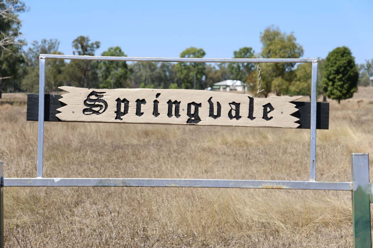 “Springvale”, Willows Gemfields For Sale by Farmbuy.com - image 18