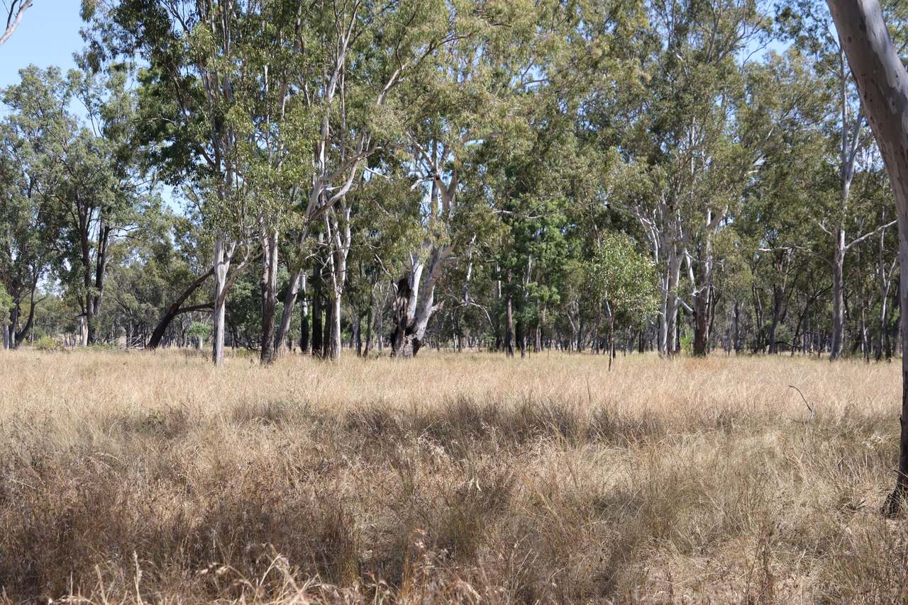 “Springvale”, Willows Gemfields For Sale by Farmbuy.com - image 4