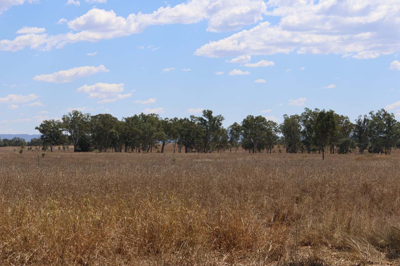 “Springvale”, Willows Gemfields For Sale by Farmbuy.com - image 2