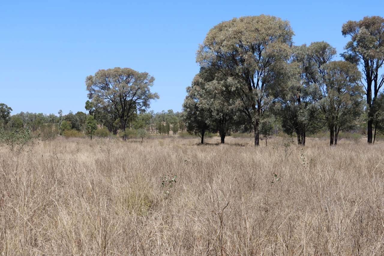 “Springvale”, Willows Gemfields For Sale by Farmbuy.com - image 7