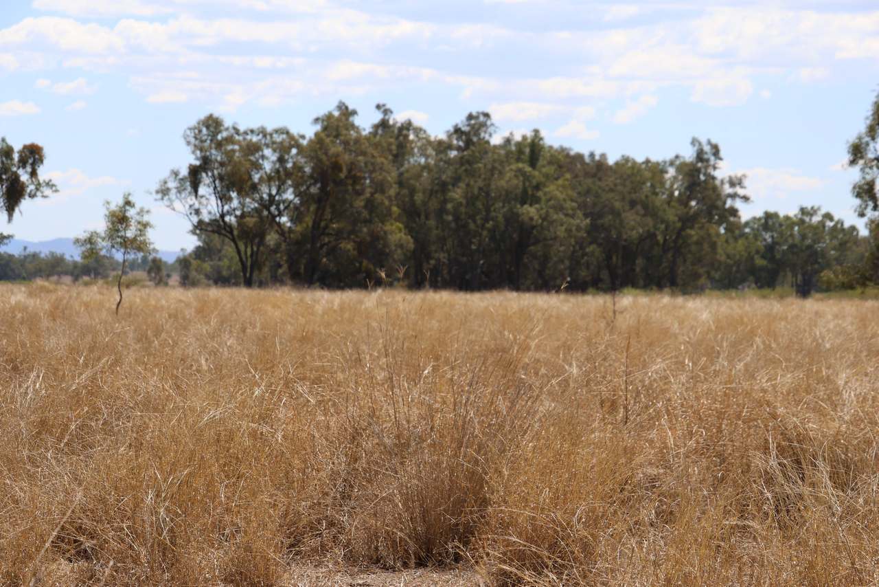 “Springvale”, Willows Gemfields For Sale by Farmbuy.com - image 10