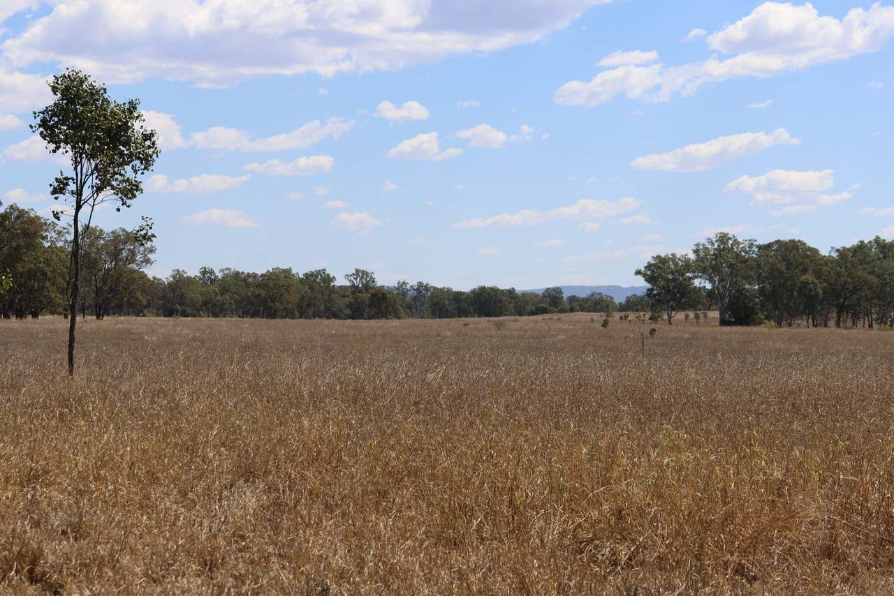 “Springvale”, Willows Gemfields For Sale by Farmbuy.com - image 9