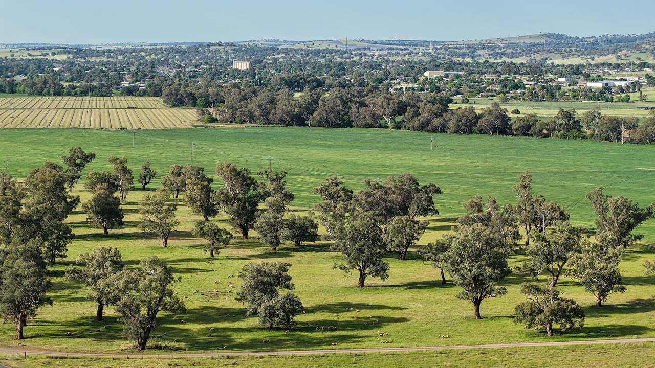 200 Warrengunyah Road, Mount Arthur Auction by Farmbuy.com - image 1