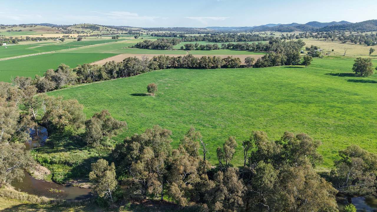200 Warrengunyah Road, Mount Arthur Auction by Farmbuy.com - image 4