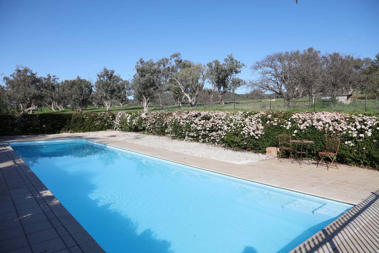 200 Warrengunyah Road, Mount Arthur Auction by Farmbuy.com - image 10