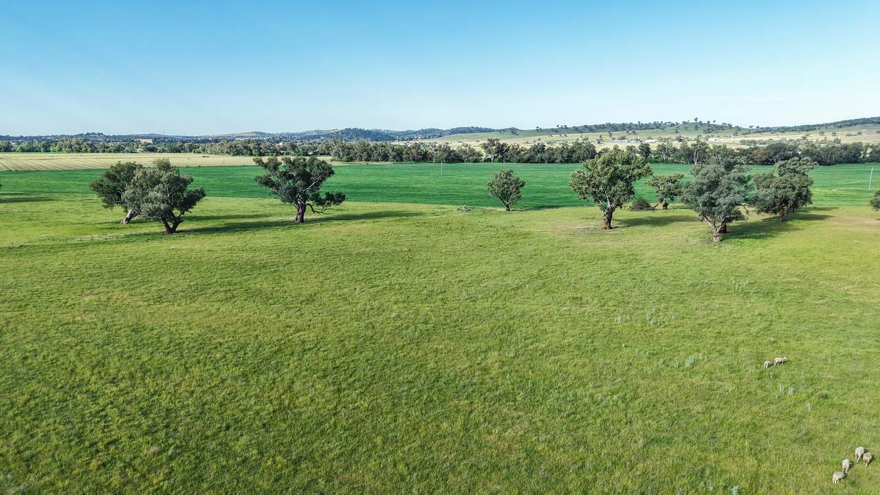 200 Warrengunyah Road, Mount Arthur Auction by Farmbuy.com - image 3