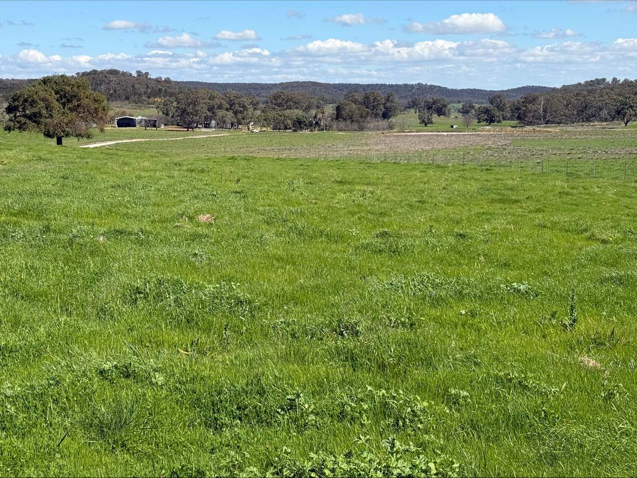 454 Brooklyn Road, DUNEDOO For Sale by Farmbuy.com - image 6
