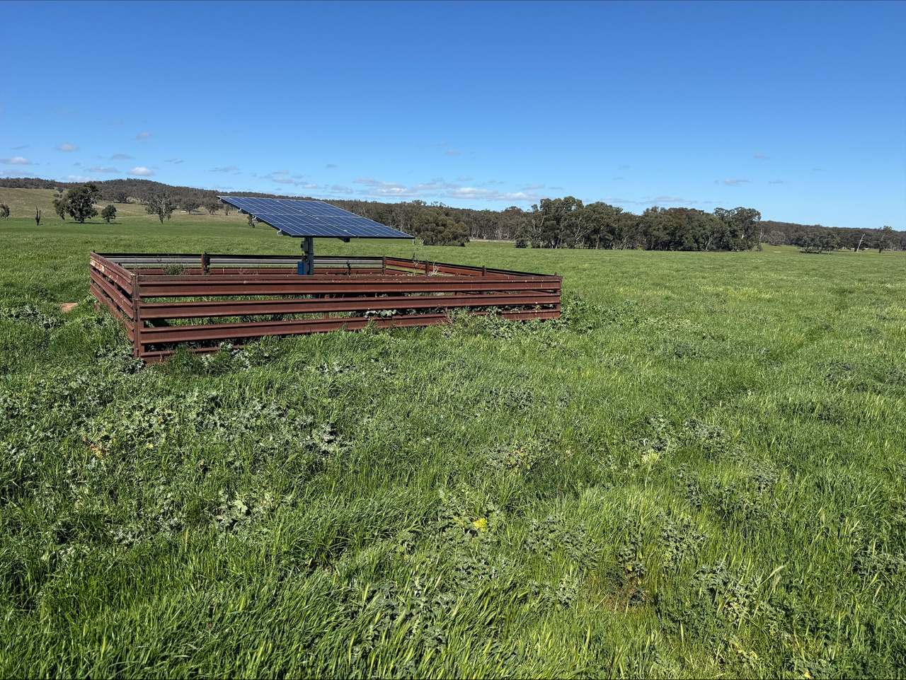 454 Brooklyn Road, DUNEDOO For Sale by Farmbuy.com - image 5