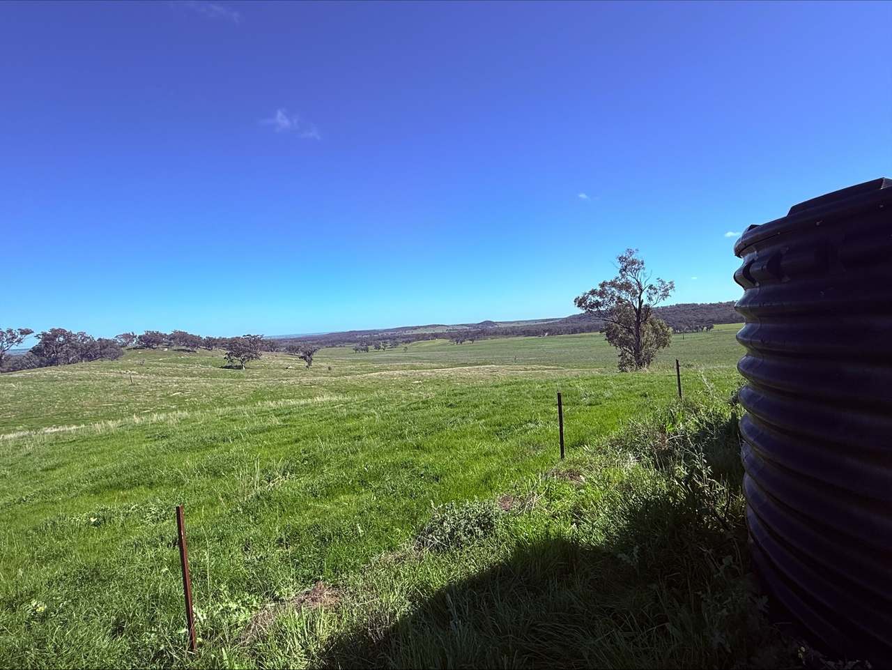 454 Brooklyn Road, DUNEDOO For Sale by Farmbuy.com - image 10