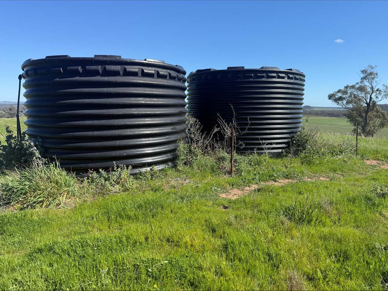 454 Brooklyn Road, DUNEDOO For Sale by Farmbuy.com - image 12