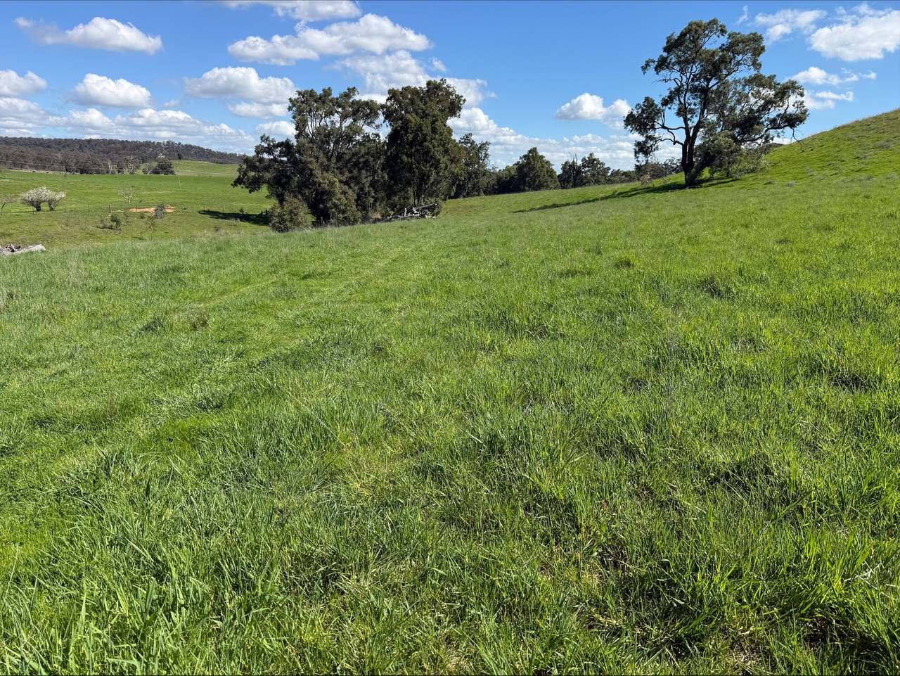 454 Brooklyn Road, DUNEDOO For Sale by Farmbuy.com - image 1