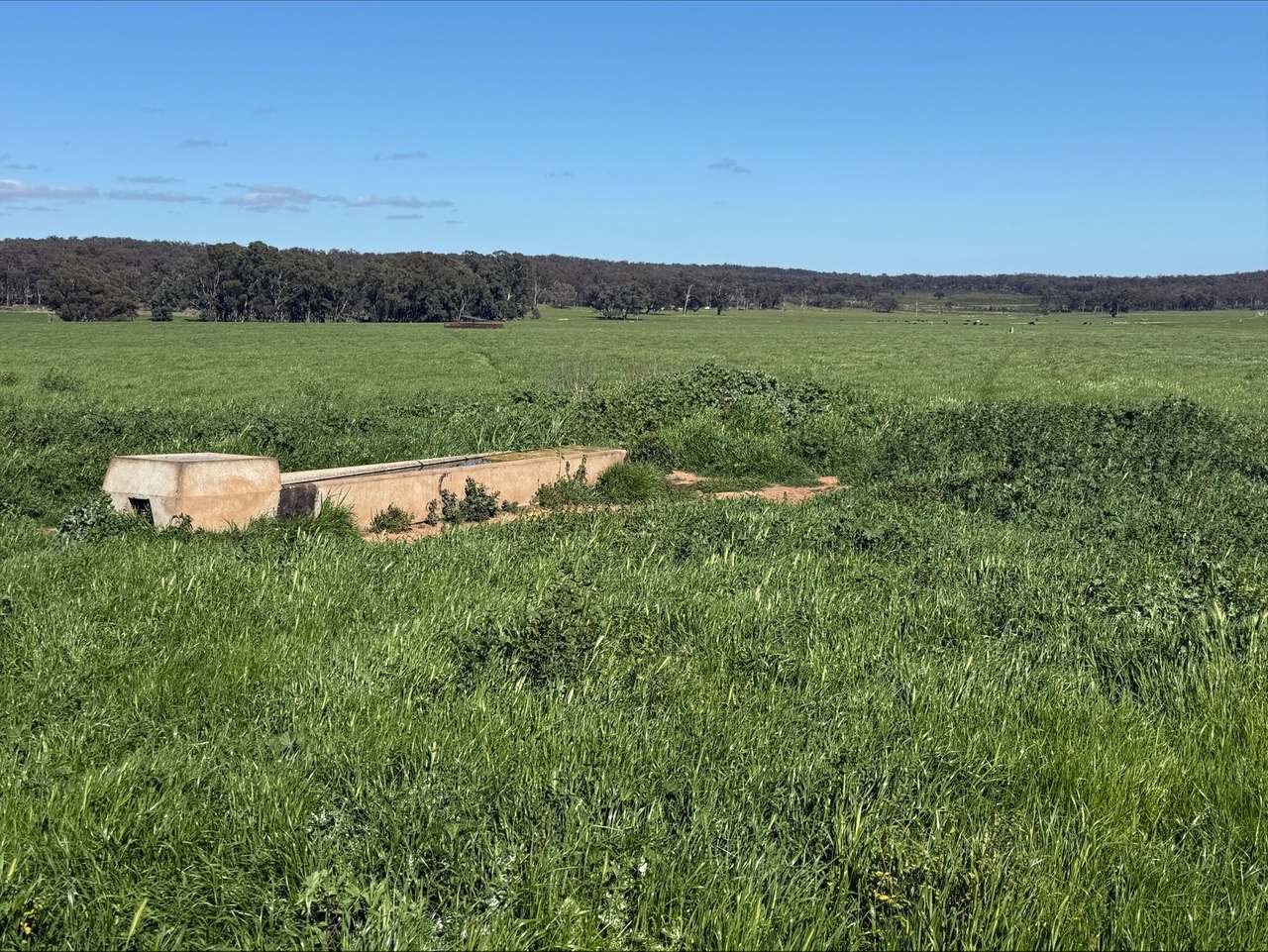 454 Brooklyn Road, DUNEDOO For Sale by Farmbuy.com - image 2