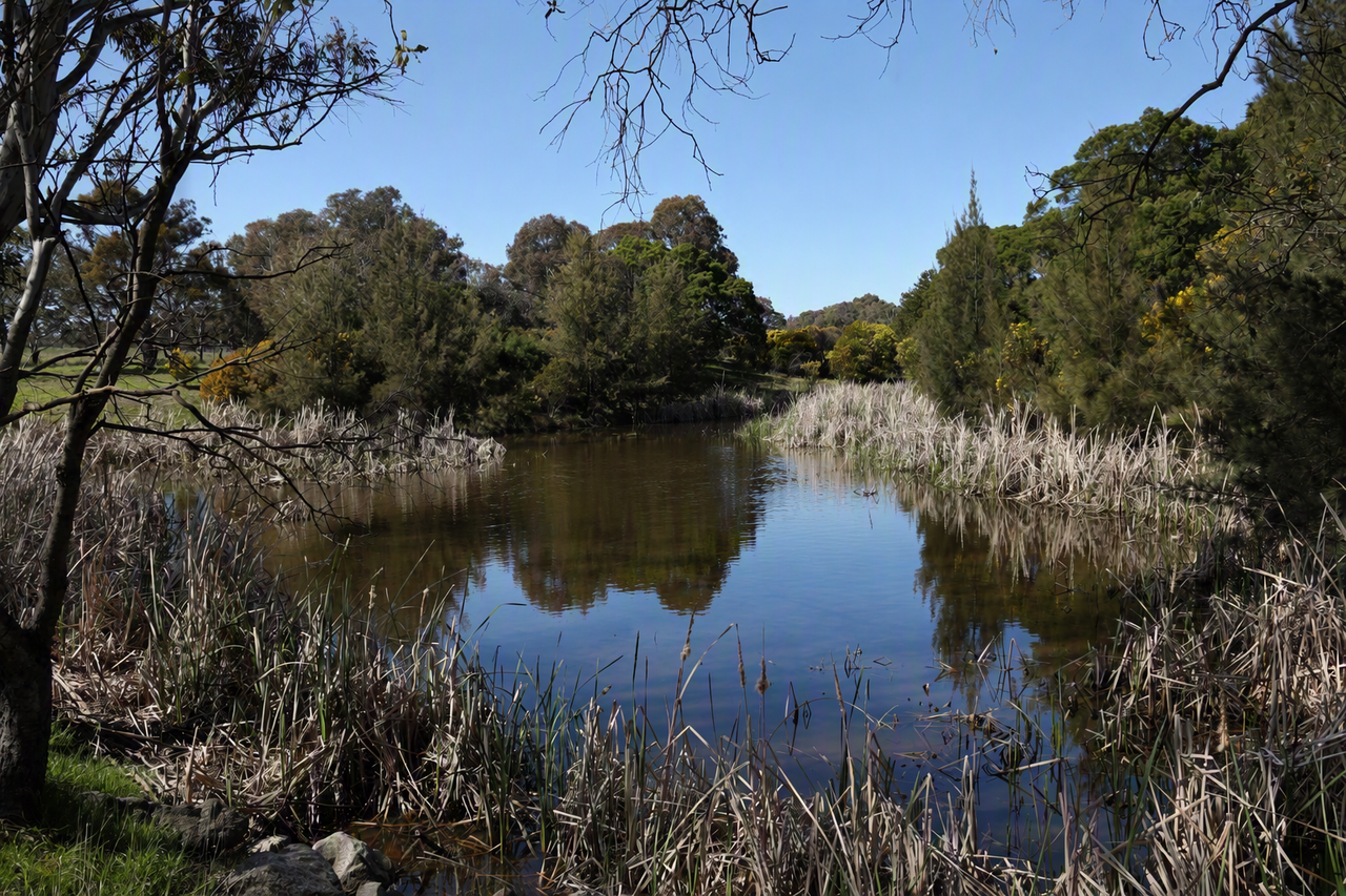 126 Oakey Creek Road, WALLAROO Auction by Farmbuy.com - image 3