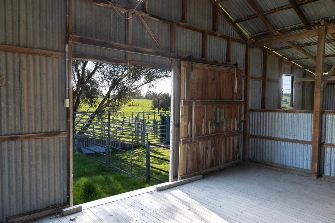126 Oakey Creek Road, WALLAROO Auction by Farmbuy.com - image 15