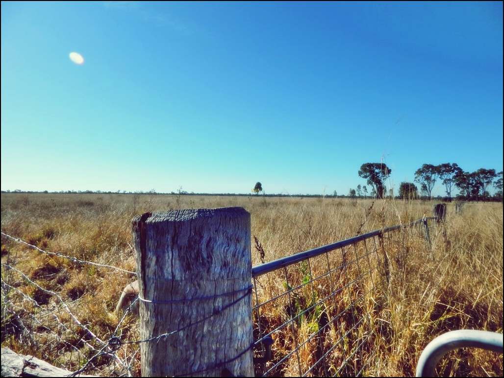 Rodney Road, MILLMERRAN For Sale by Farmbuy.com - image 14